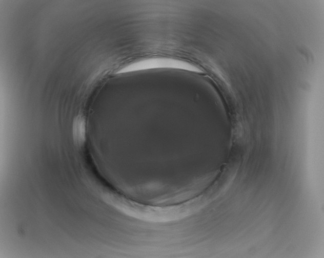 X0000114160027200910221618