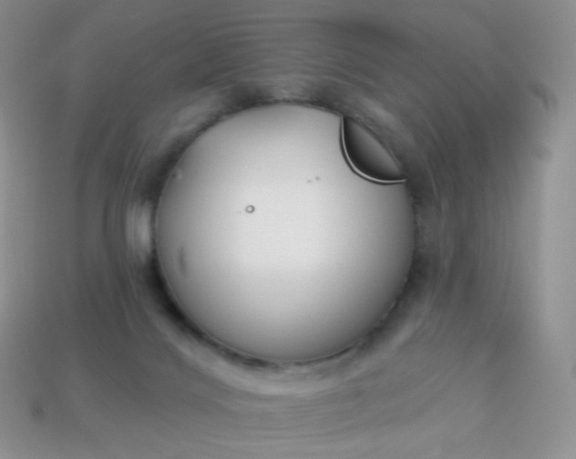 X0000114160028200910221618