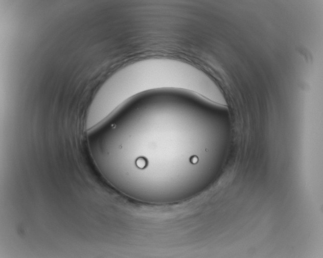 X0000114160029200910221618