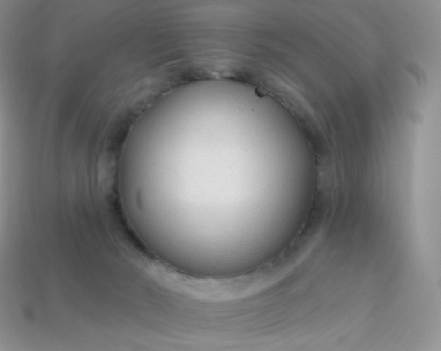 X0000114160030200910221617