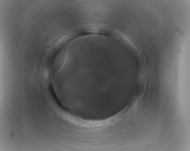 X0000114160031200910221617