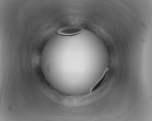 X0000114160033200910221617