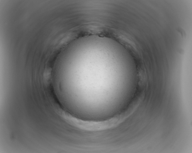 X0000114160034200910221617