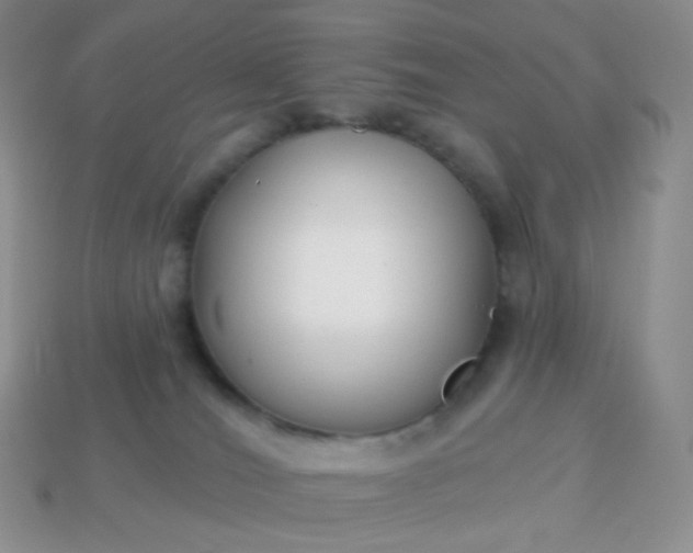 X0000114160036200910221617