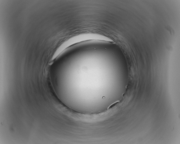 X0000114160037200910221617