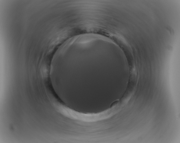 X0000114160039200910221617