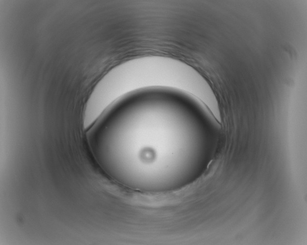 X0000114160041200910221617