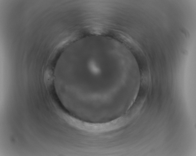 X0000114160043200910221617