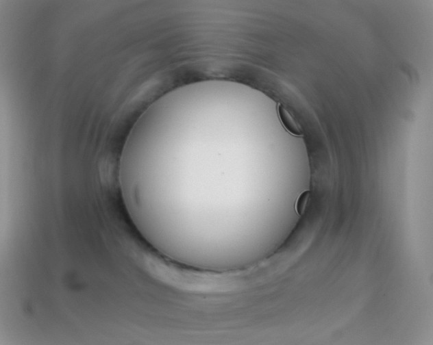 X0000114160044200910221617