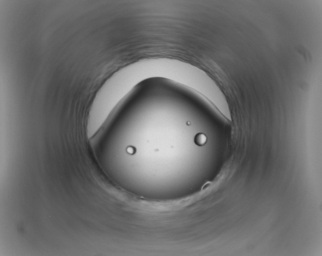 X0000114160045200910221617