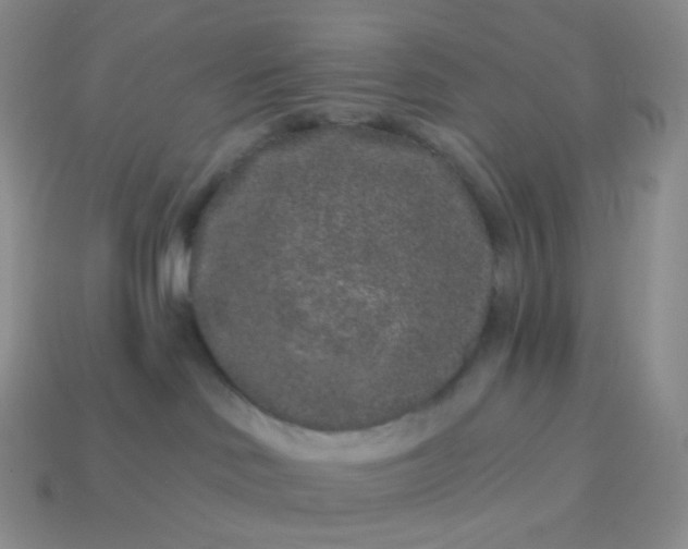 X0000114160046200910221617