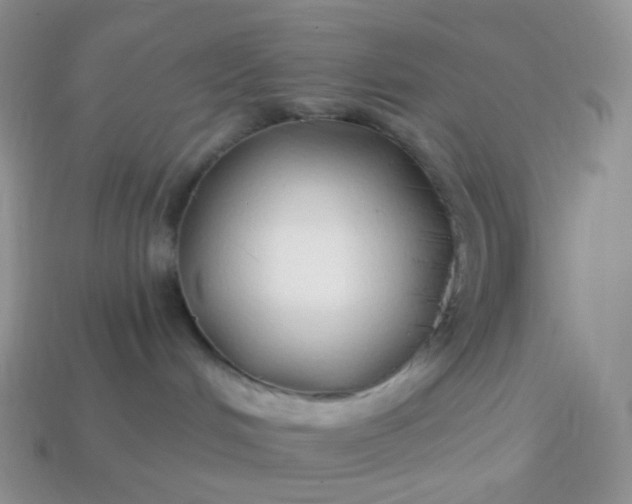 X0000114160048200910221617