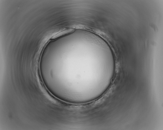 X0000114160049200910221617