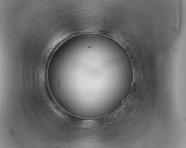 X0000114160050200910221617