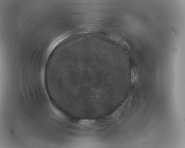 X0000114160051200910221617