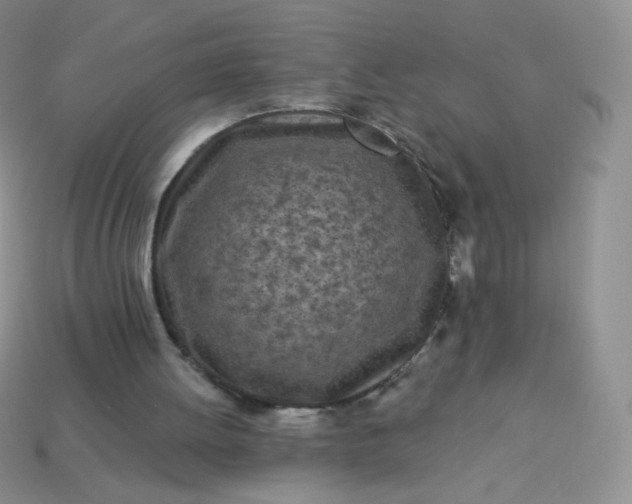 X0000114160052200910221617