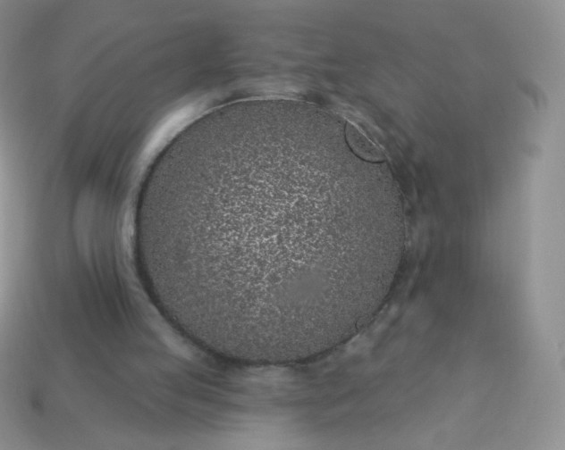 X0000114160053200910221617