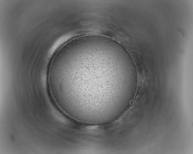 X0000114160054200910221617