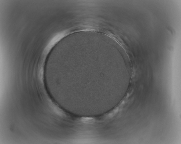 X0000114160055200910221617