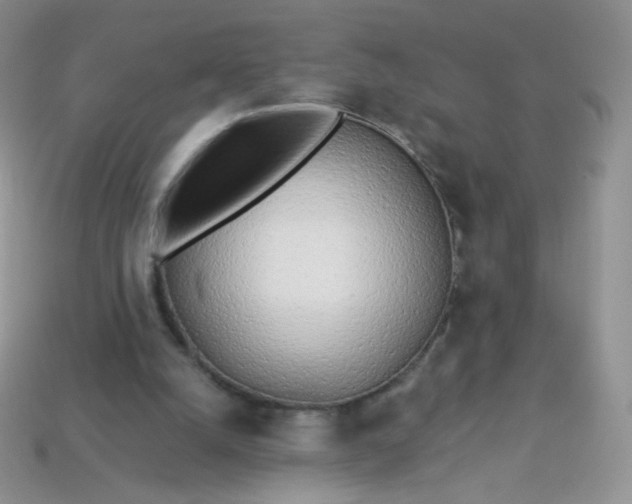 X0000114160056200910221617