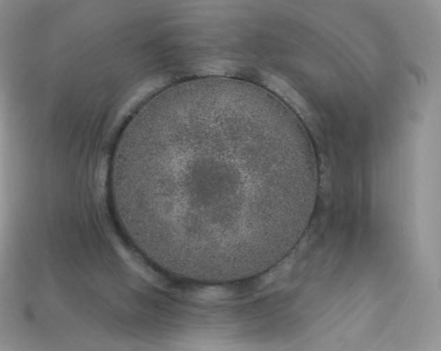 X0000114160058200910221617