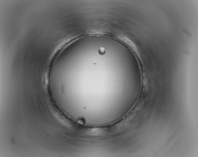 X0000114160059200910221617