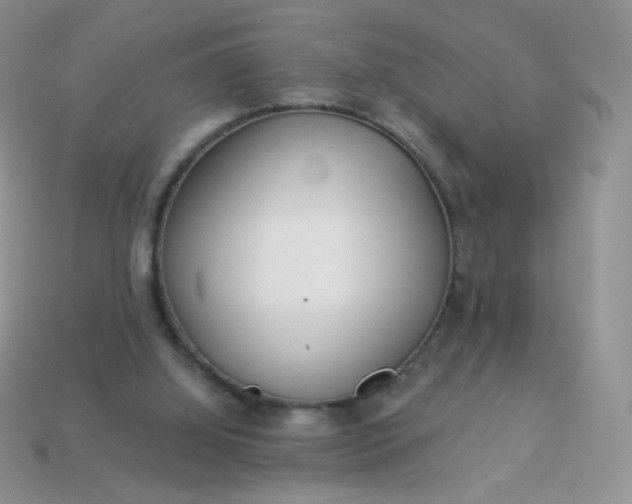 X0000114160060200910221617