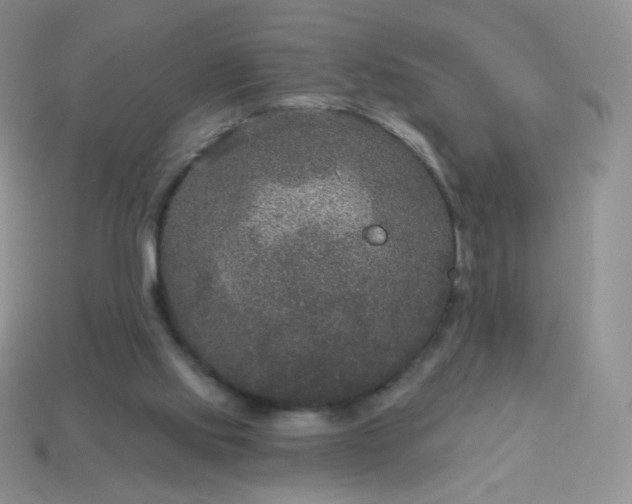 X0000114160061200910221617