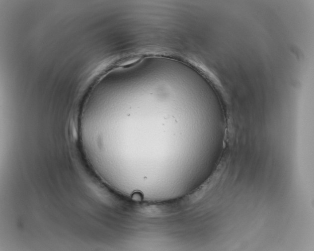 X0000114160062200910221617