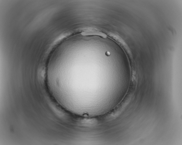 X0000114160063200910221617