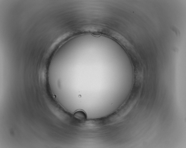 X0000114160064200910221617