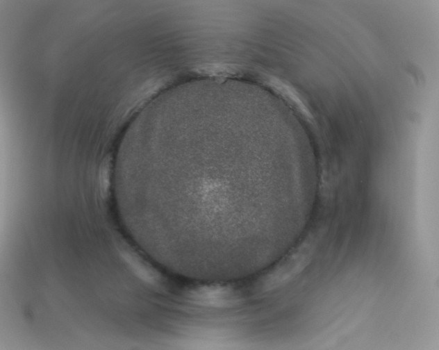 X0000114160065200910221617