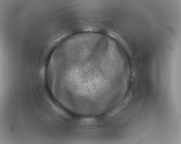 X0000114160066200910221617