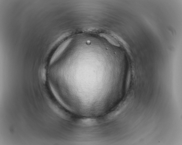 X0000114160067200910221617