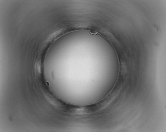 X0000114160068200910221617