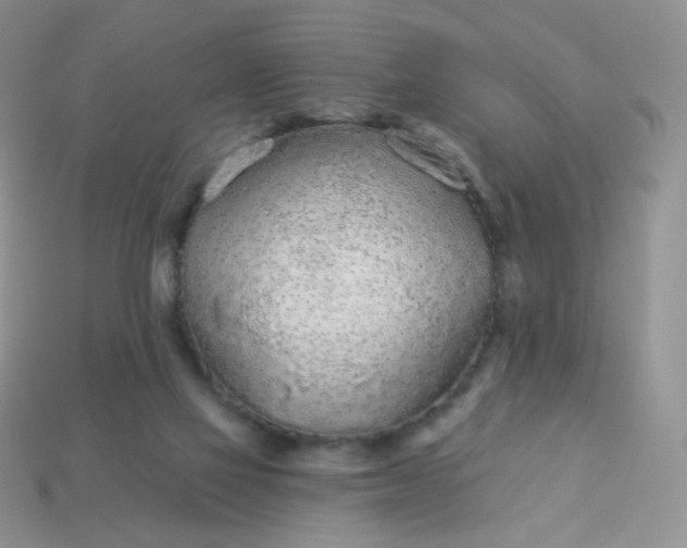 X0000114160069200910221617