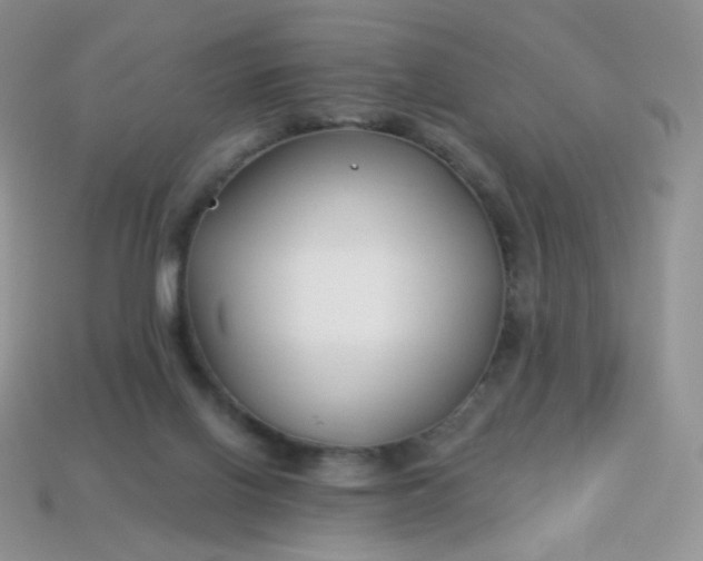 X0000114160070200910221617