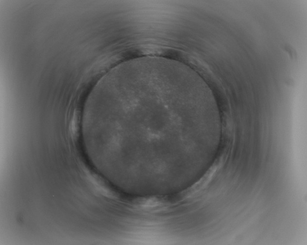 X0000114160074200910221617