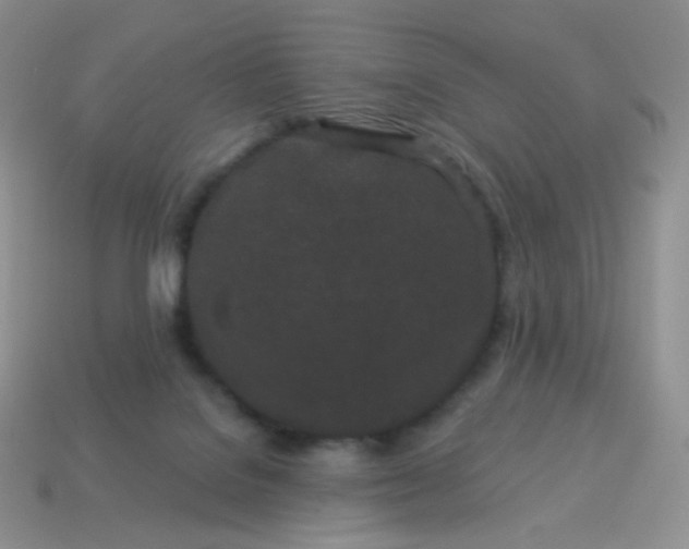 X0000114160076200910221617