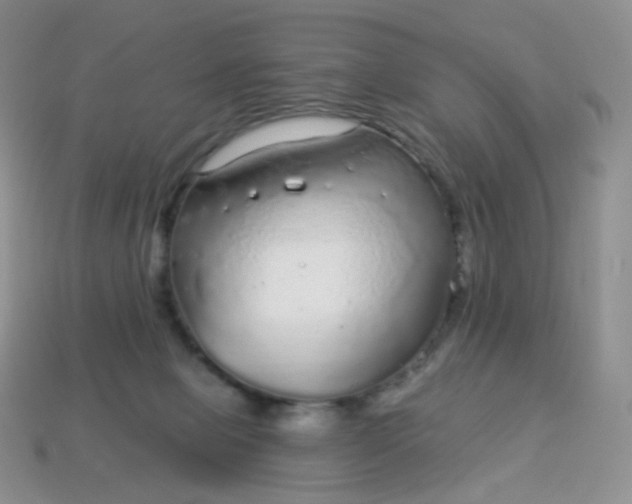 X0000114160077200910221617