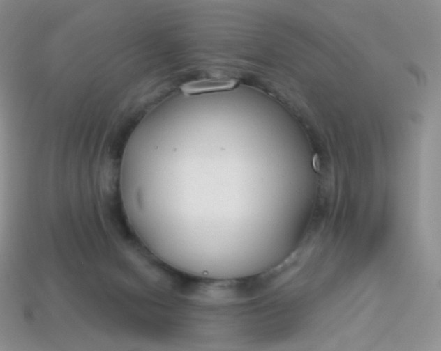 X0000114160078200910221617