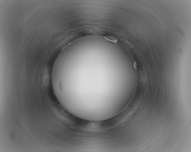 X0000114160080200910221617