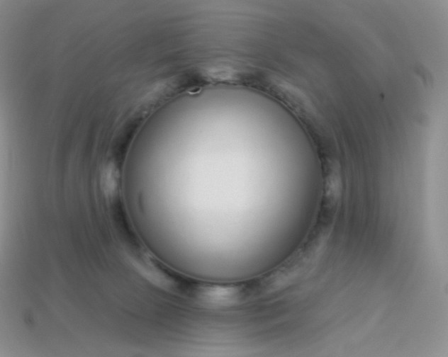 X0000114160081200910221617