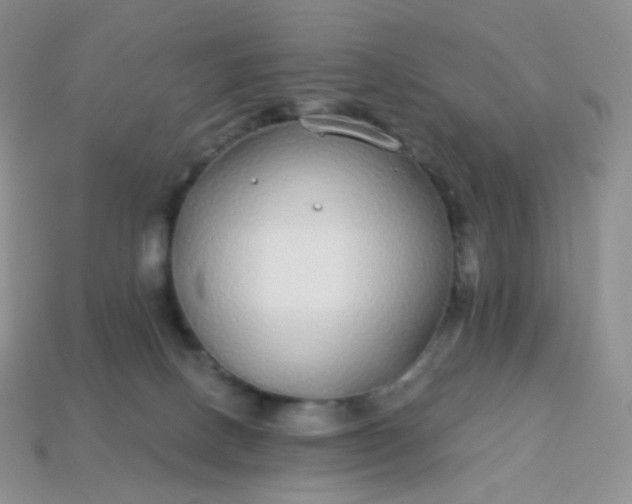 X0000114160082200910221617