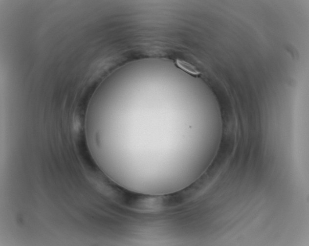 X0000114160084200910221617