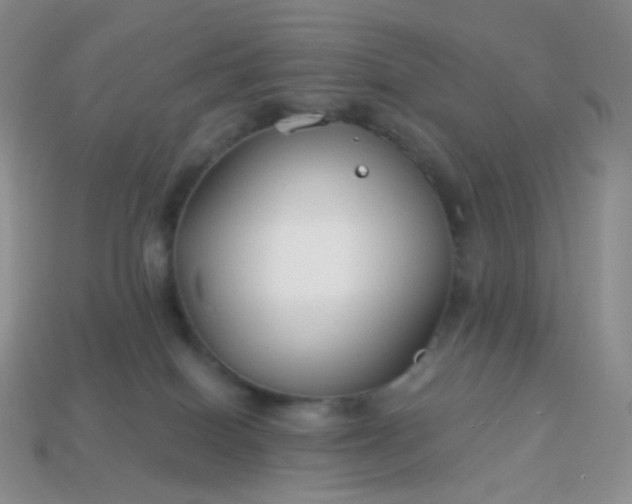 X0000114160086200910221617