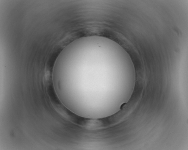 X0000114160087200910221617