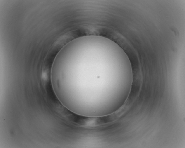 X0000114160090200910221617