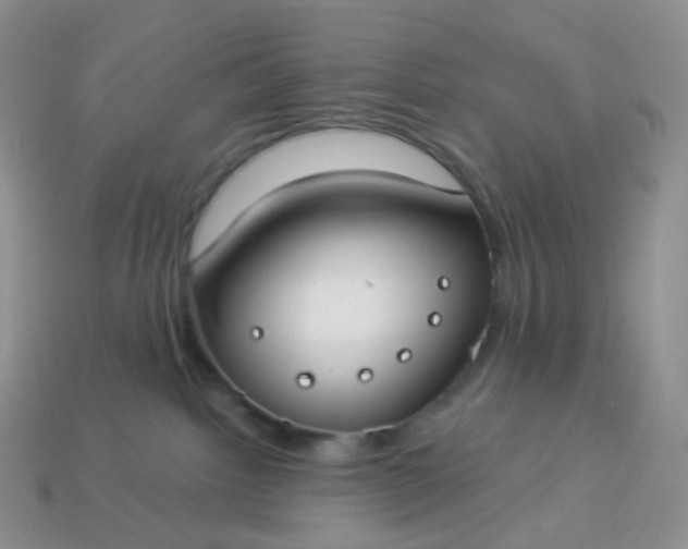 X0000114160092200910221617