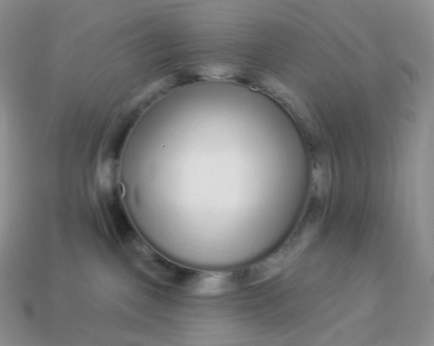 X0000114160093200910221617